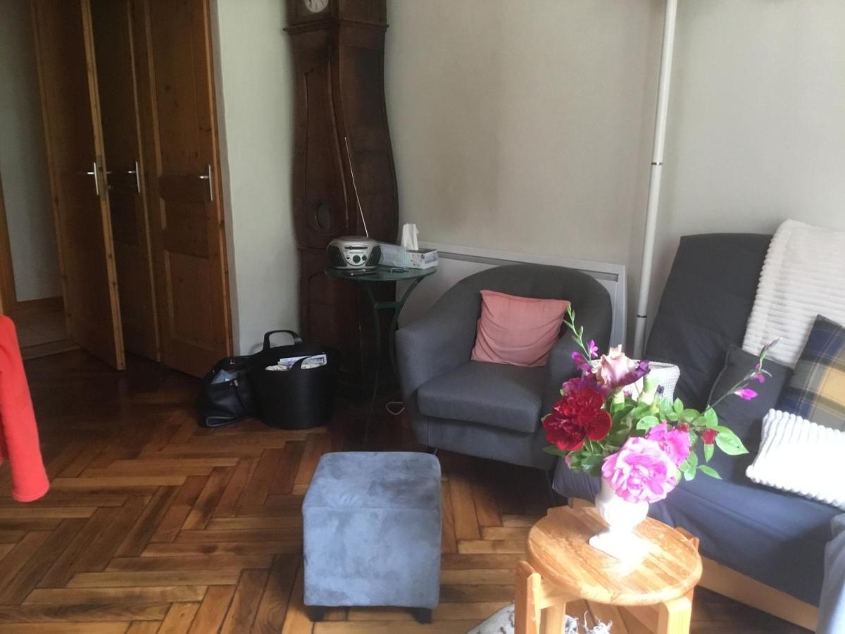 Appartement Typique,Chaleureux Et Pratique Chamonix Kültér fotó